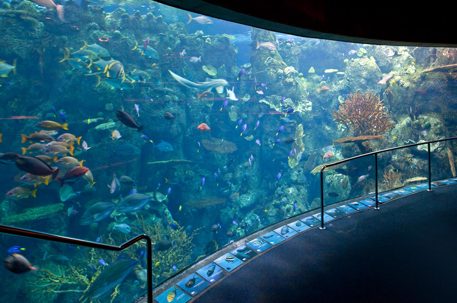 Aquarium Of The Pacific Directions Photo Inspiration