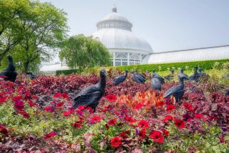 Botanical Garden (NYBG), New York (USA)