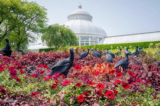 Botanical Garden (NYBG), New York (USA)