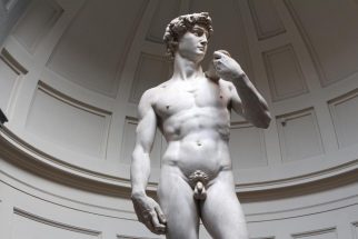 David by Michelangelo Buonarroti, Galleria dell'Accademia di Firenze