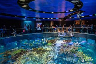 New England Aquarium, Boston (USA)